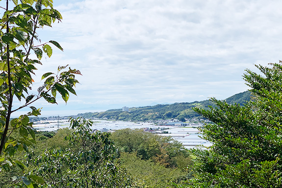 竹崎農園について